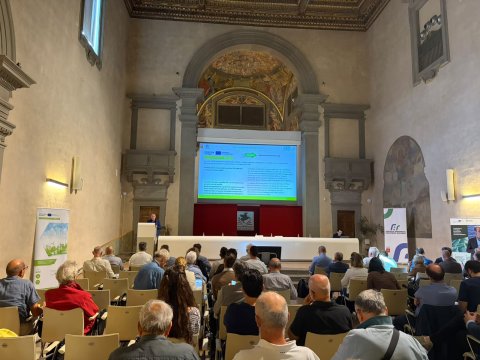bianco 2 e pubblico